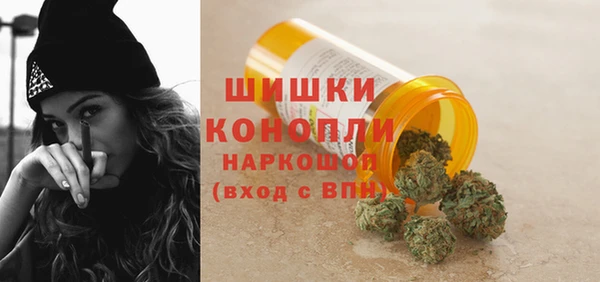 шишки Армянск