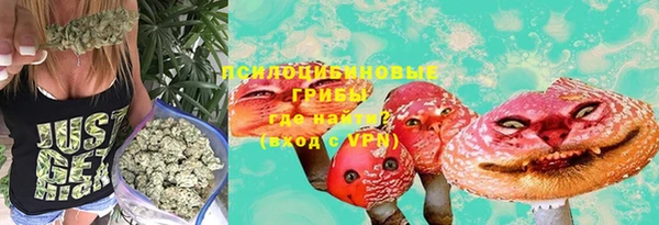 шишки Армянск
